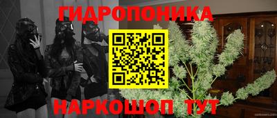 наркотики Будённовск