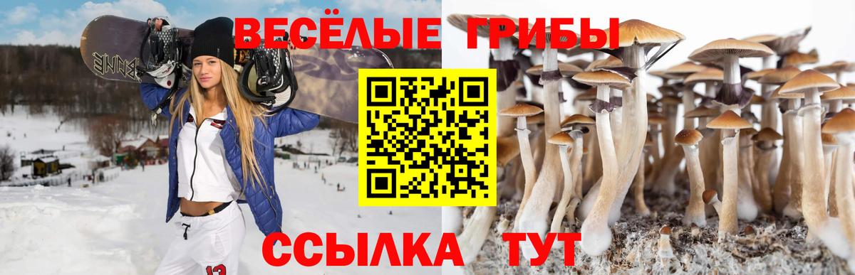 Магнитогорск  Галлюциногенные грибы Psilocybine cubensis  Вход с VPN  хочу   Псилоцибиновые грибы мухоморы 